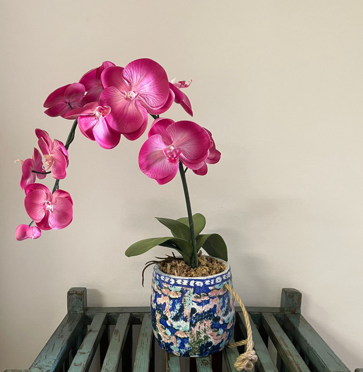 Blue Planter with Orchid by Emperor's Attic X Silk Flower Singapore