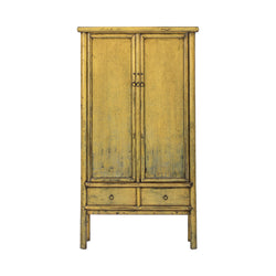 Antique Yellow Gansu Tall Cabinet with 2 Doors