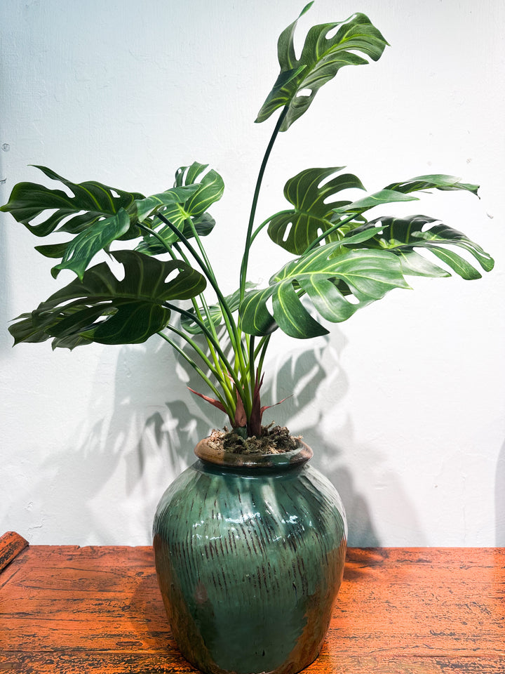 Bartha Pot with Monstera Plant by Emperor's Attic X SilkFlower Singapore