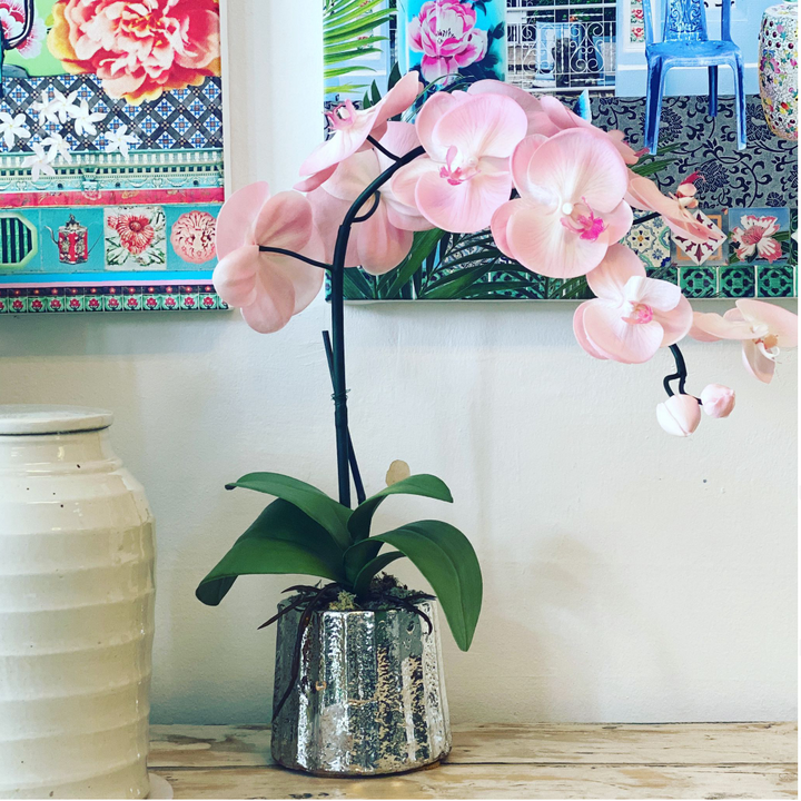 Celia Planter with Orchid by Emperor's Attic X Silk Flower Singapore