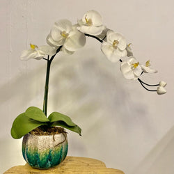 June Planter with Orchid by Emperor's Attic X Silk Flowers Singapore
